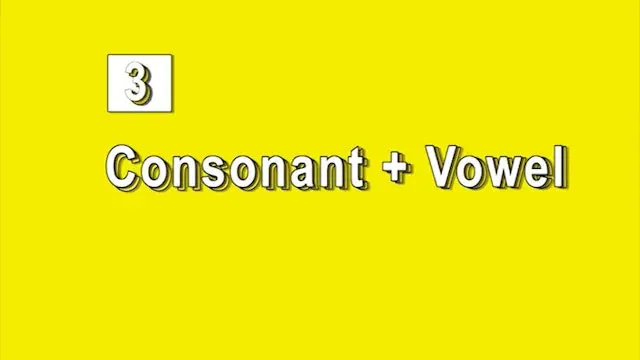 A yellow background with the words " consonant and vowel ".